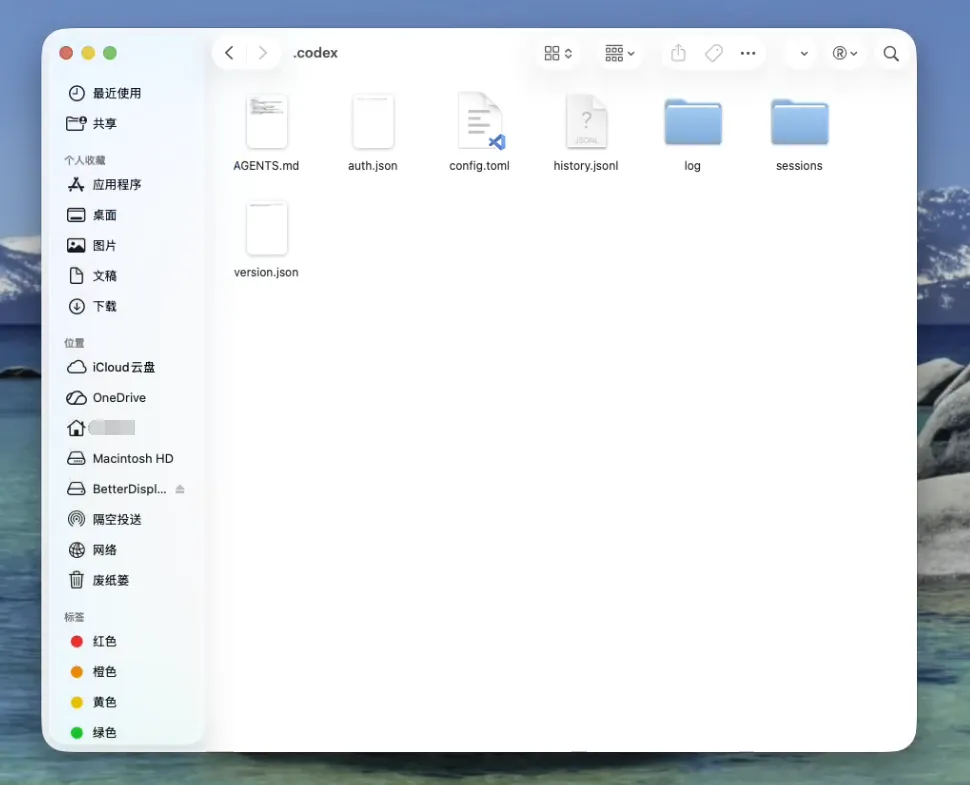 LINDE AI Cli - 012 配置步骤